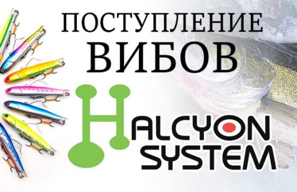Поступление вибов HALCYON SYSTEM