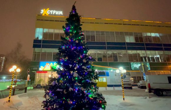 Работа в Новогодние праздники 2024-2025