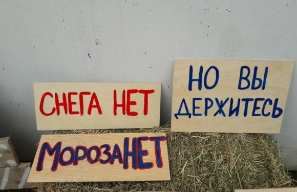 Снега нет. Чем заняться?
