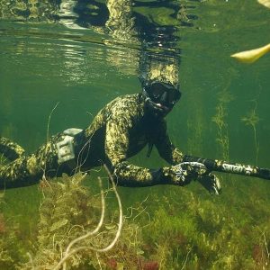 Преимущества осенней подводной охоты в Подмосковье