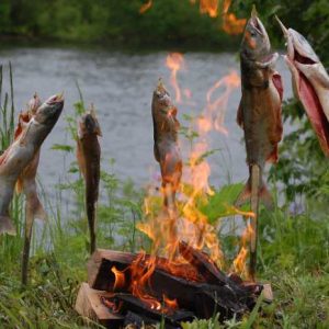 Рыба на рожнах