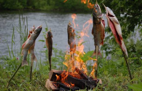 Рыба на рожнах