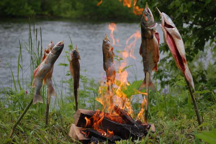 Рыба на рожнах Рыба на рожнах