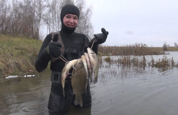 Стоит ли заниматься в подводной охоте в ноябре?