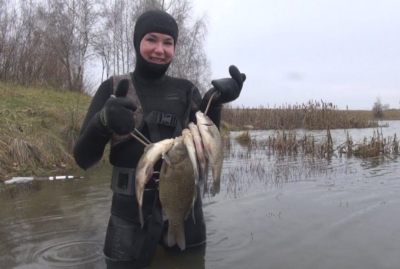 Стоит ли заниматься в подводной охоте в ноябре?