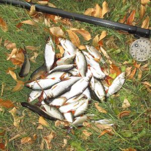 На поплавок в декабре