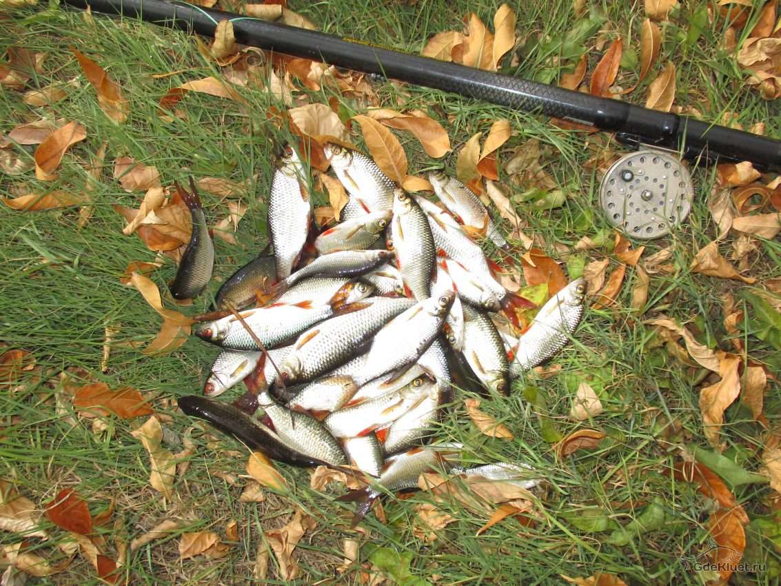 На поплавок в декабре На поплавок в декабре