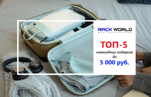 ТОП-5 новогодних подарков Thule до 5 000