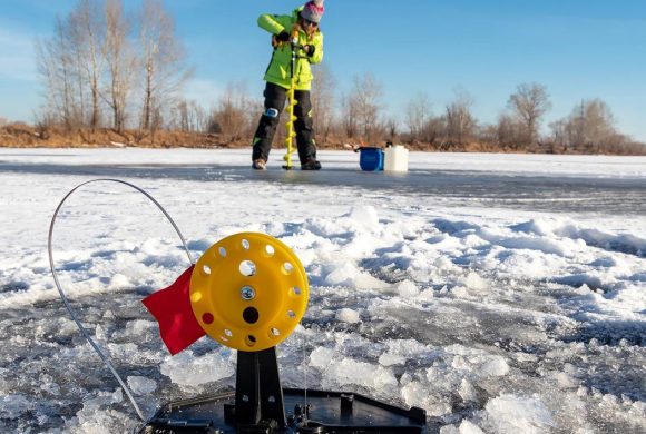 10 жерлиц в сумке