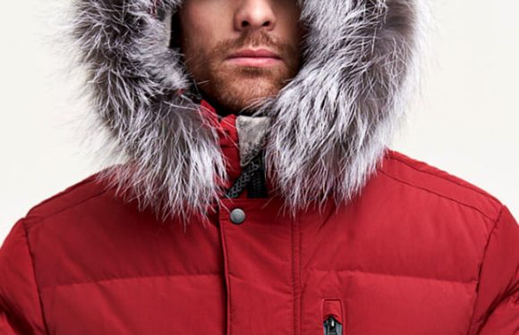 Винный гусь на -45